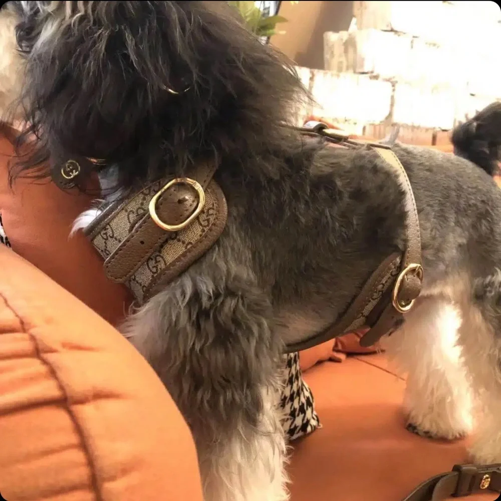 Gucci Tan and Cream Women's Bag